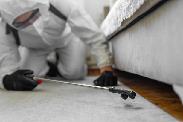 Professional Termite Control technician working in Frankton, IN