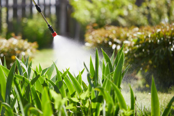 24/7 Emergency Termite Control experts in Frankton, IN