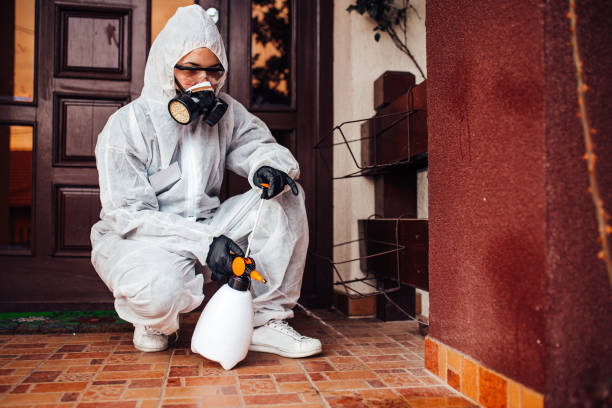 Reliable Termite Control contractor in Frankton, IN by Nex Pest Control