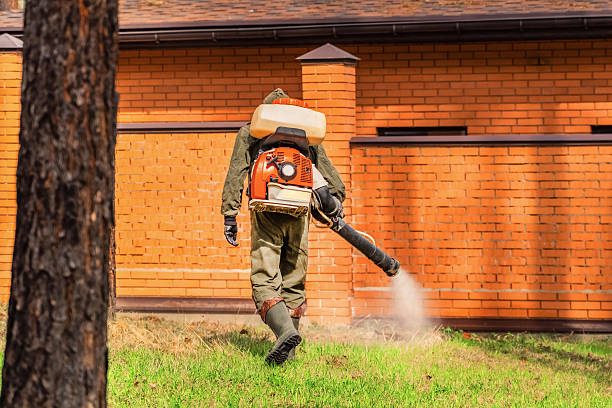 Top rated local Termite Control specialists in Frankton, IN